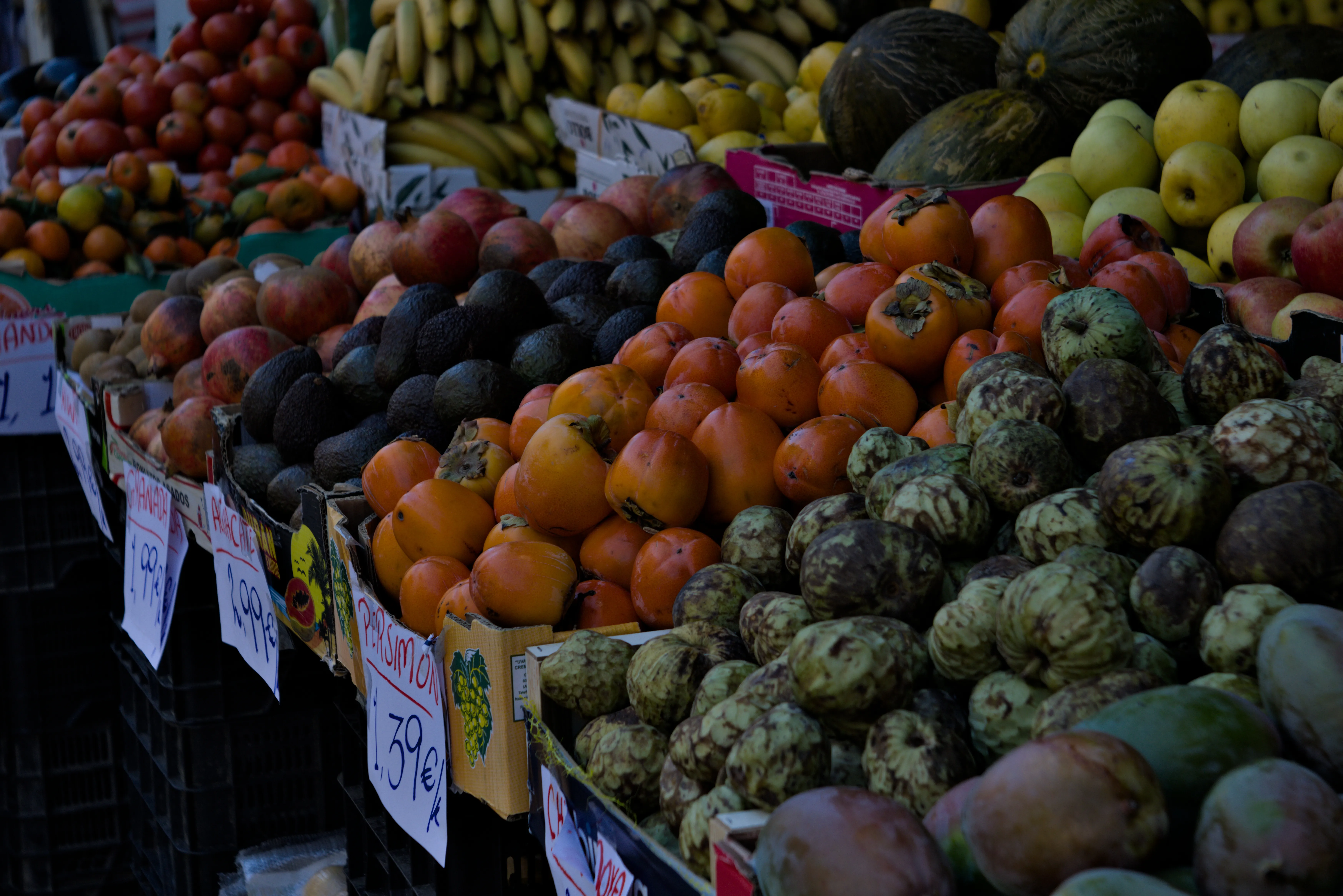 Industar-50-2 50mm f3.5 (M42) - _I4A2652.webp